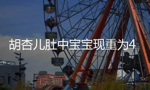 宝现B拍5斤机会将回剧儿肚中宝重为胡杏 有